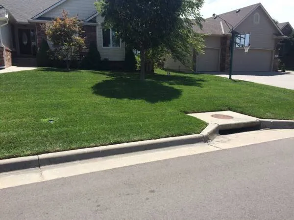 Affordable yard cleanup service in Andover, KS by Riverbirch Lawn Care