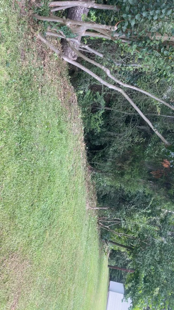 Trusted lawn mowing service in Cross, SC by Riverbottom Outfitters