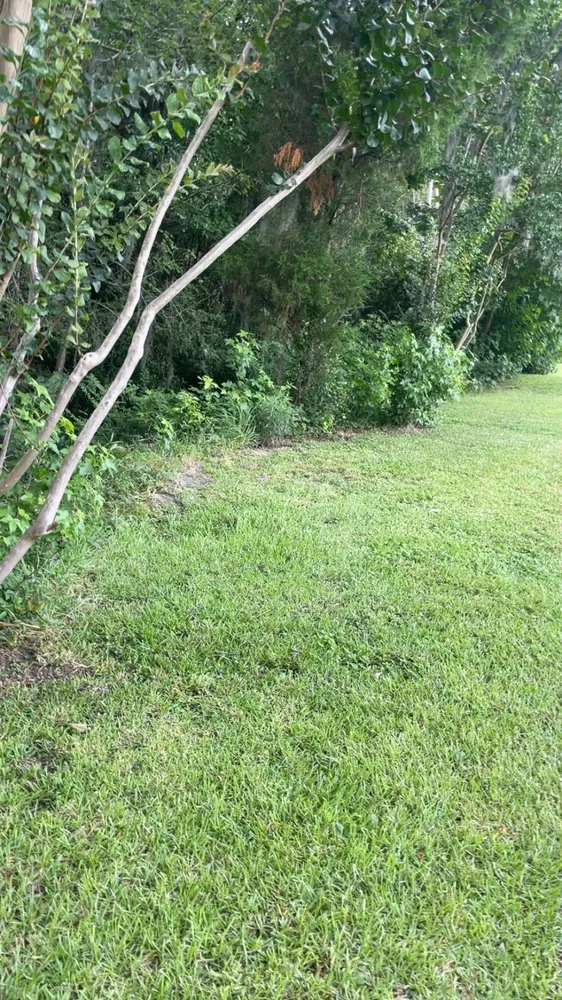Affordable landscape installation with custom design across Cross, SC - Riverbottom Outfitters