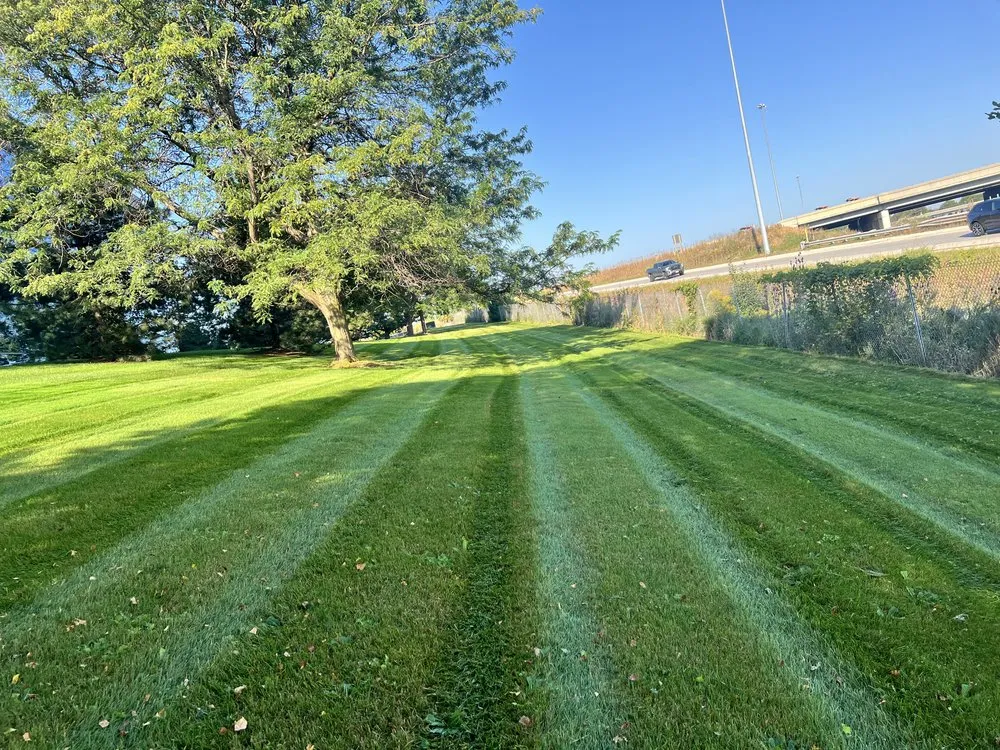 Expert garden landscaping for year-round maintenance in Milwaukee, WI by Rivercap Landscaping Services