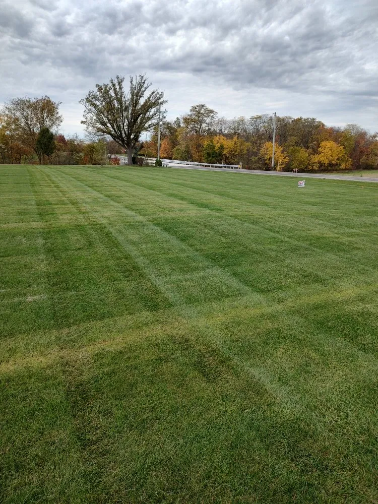 Affordable garden landscaping experts serving Napoleon, OH - RiverCity Lawn Services