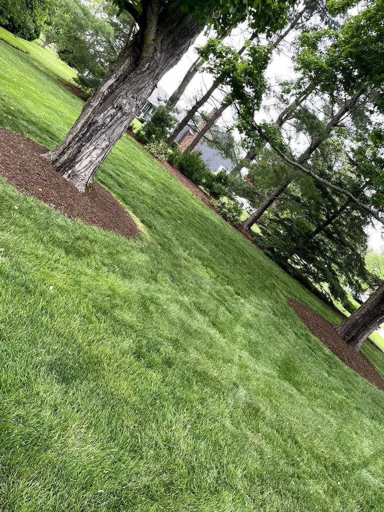 Professional lawn care service for year-round maintenance in Portland, CT by Rivereast Landscape