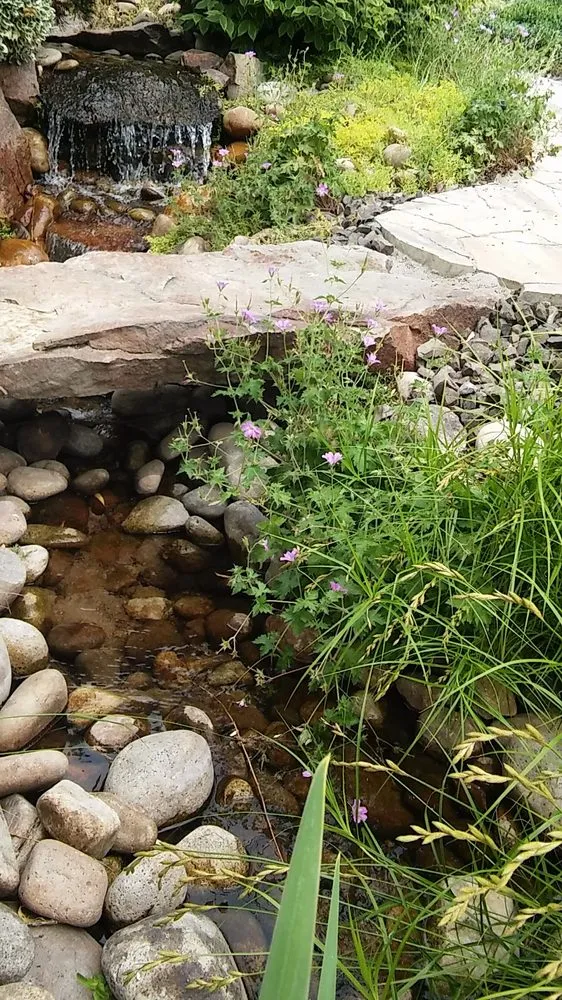 Affordable lawn care service in Caldwell, ID - Riverfront Construction