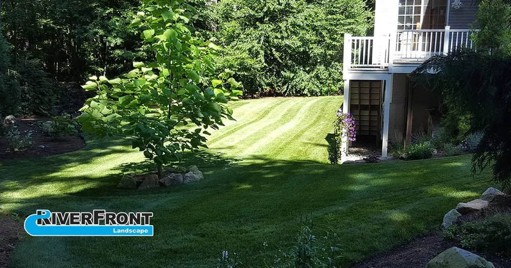 Expert yard cleanup service in Concord, MA - Riverfront Landscape