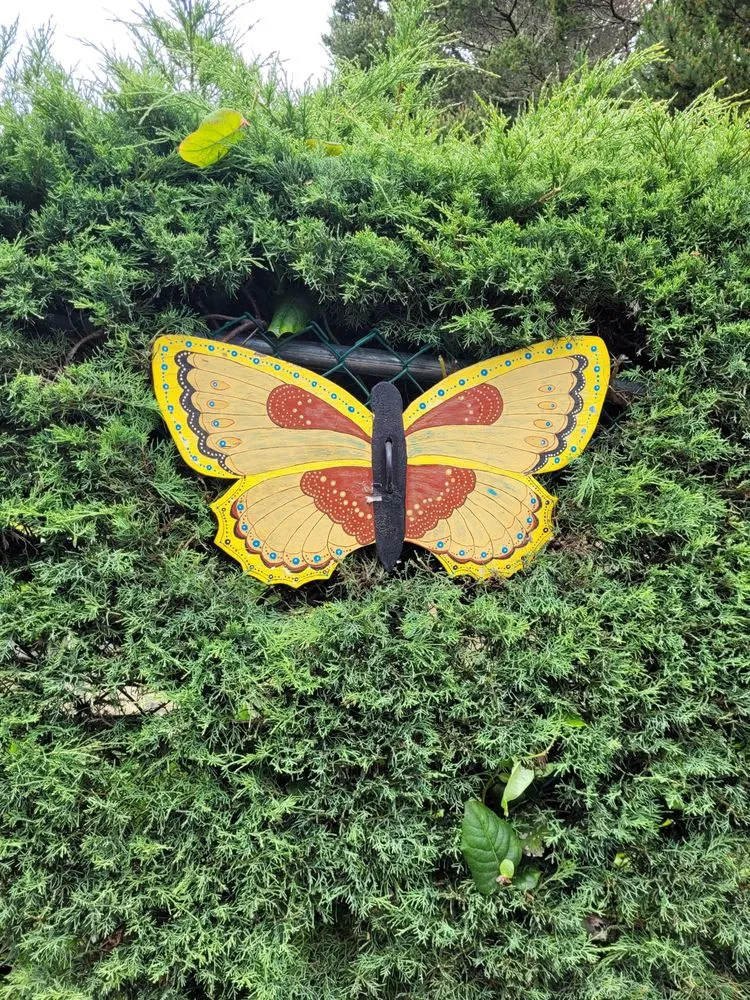 Top-rated residential landscaping for outdoor upgrades across Florence, OR - Riverfront Lawn Basics