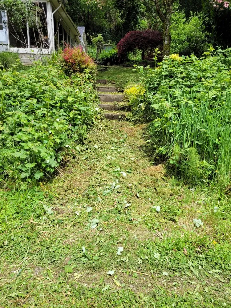 Top-rated yard cleanup service experts serving Florence, OR - Riverfront Lawn Basics