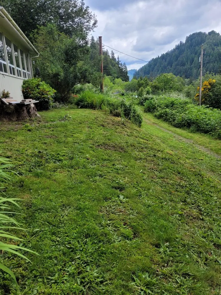 Local yard cleanup service in Florence, OR by Riverfront Lawn Basics
