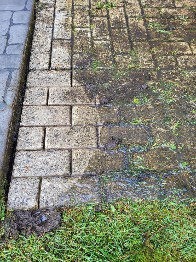 Top-rated landscape installation with custom design across Florence, OR - Riverfront Lawn Basics