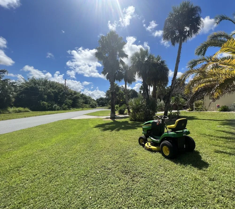 Expert yard cleanup service in Homosassa, FL - Riverhaven Lawn