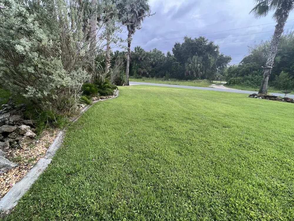 Local yard cleanup service in Homosassa, FL - Riverhaven Lawn