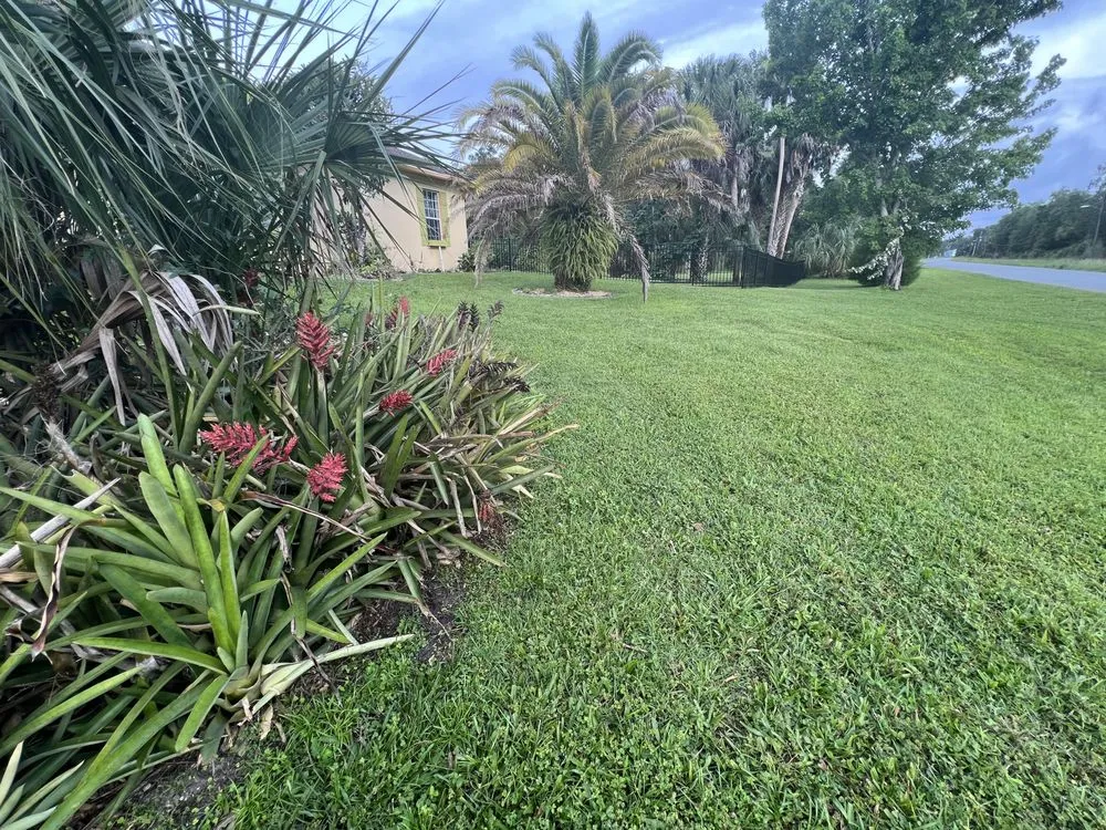 Trusted lawn care service for outdoor upgrades across Homosassa, FL - Riverhaven Lawn
