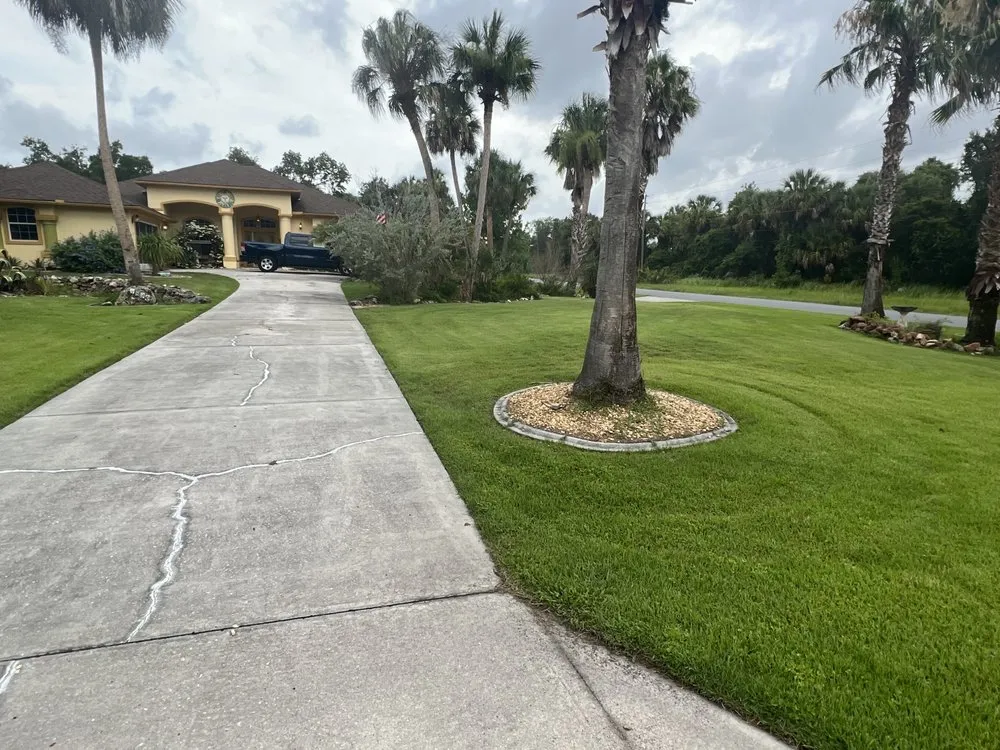 Expert yard maintenance in Homosassa, FL by Riverhaven Lawn