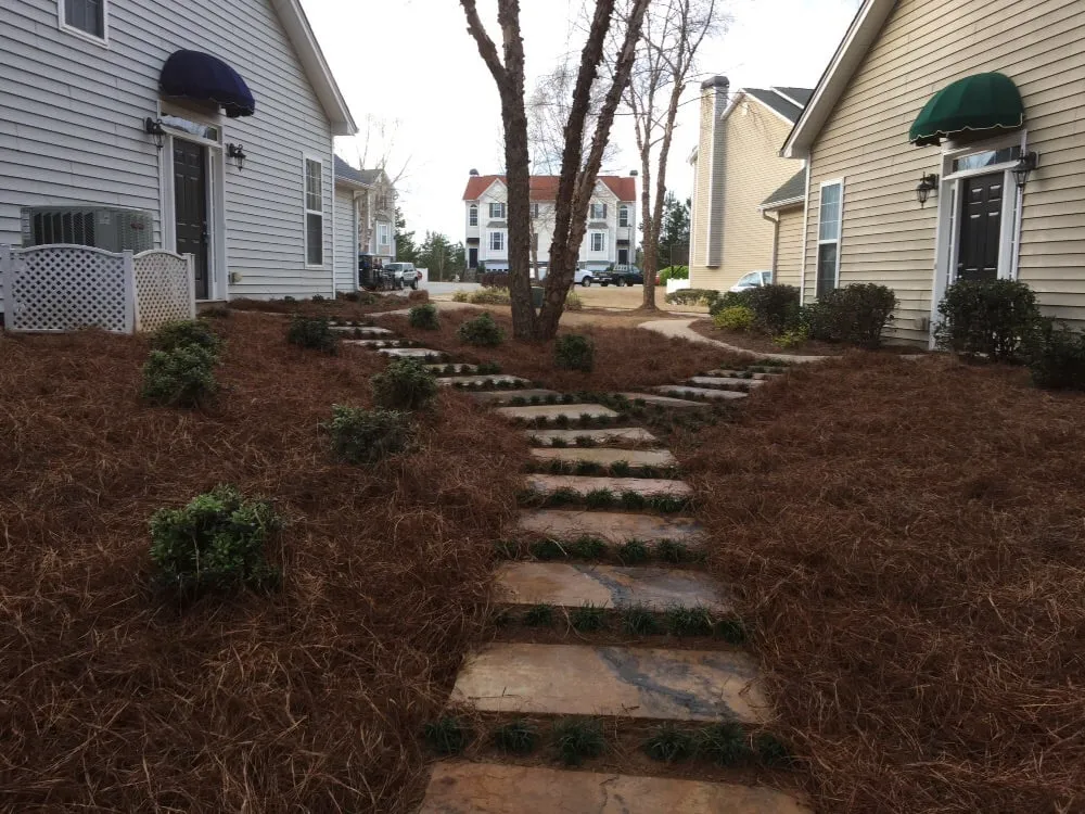 Trusted lawn care service with custom design across Auburn, GA - Rivermoore Lawn Care
