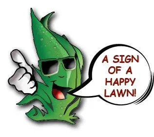 Expert landscape design in Auburn, GA by Rivermoore Lawn Care