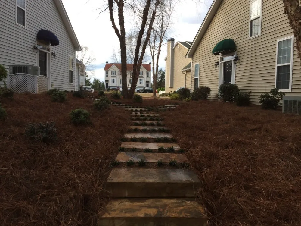 Reliable landscaping services for homes across Auburn, GA - Rivermoore Lawn Care