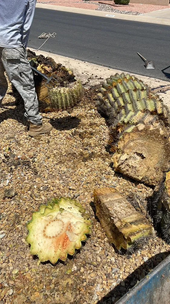 Local garden landscaping for residential properties in Surprise, AZ by Rivero Landscape