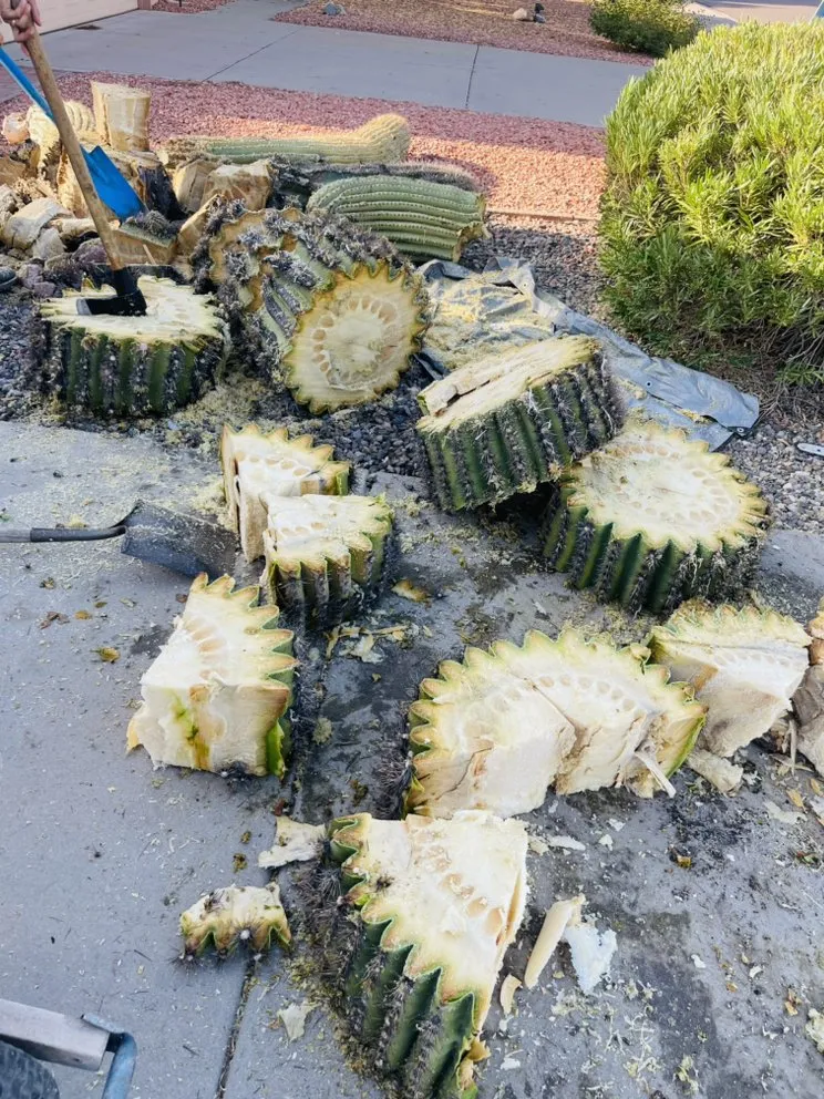 Professional landscape installation experts serving Surprise, AZ - Rivero Landscape