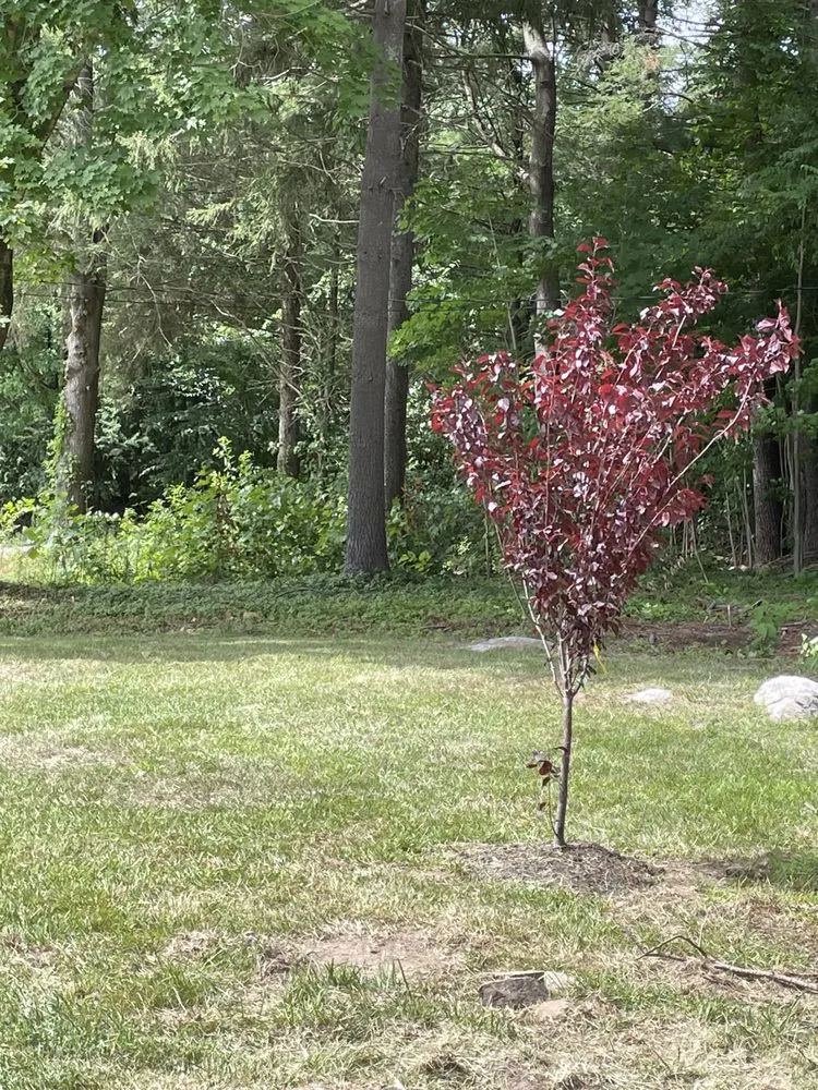 Affordable garden landscaping for year-round maintenance in Canterbury, CT by Rivers Construction & Landscaping