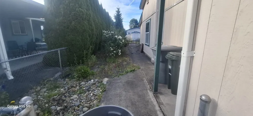 Trusted yard cleanup service in Orting, WA - Rivers custom cuts Lawn Care/ Tree Removal