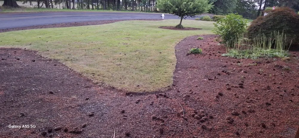 Top-rated landscaping services experts serving Orting, WA - Rivers custom cuts Lawn Care/ Tree Removal