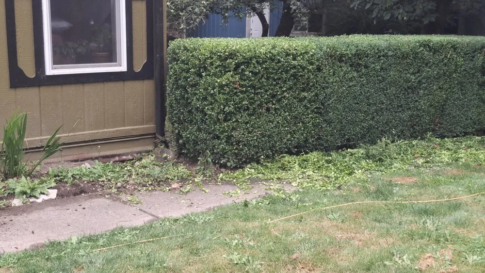 Trusted landscape design with custom design across Orting, WA - Rivers custom cuts Lawn Care/ Tree Removal