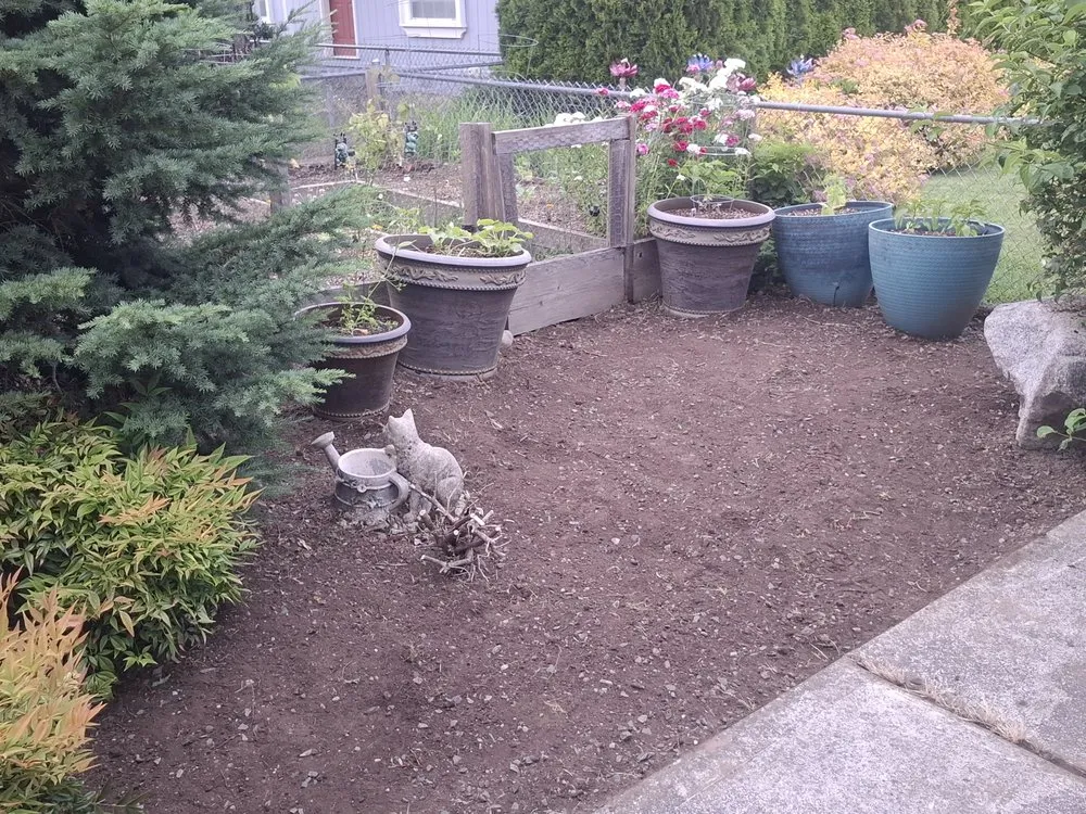 Local yard cleanup service in Orting, WA - Rivers custom cuts Lawn Care/ Tree Removal