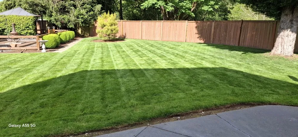 Affordable yard maintenance in Orting, WA - Rivers custom cuts Lawn Care/ Tree Removal