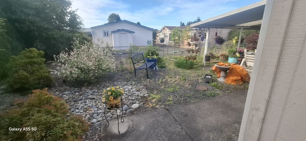 Top-rated lawn mowing service in Orting, WA by Rivers custom cuts Lawn Care/ Tree Removal