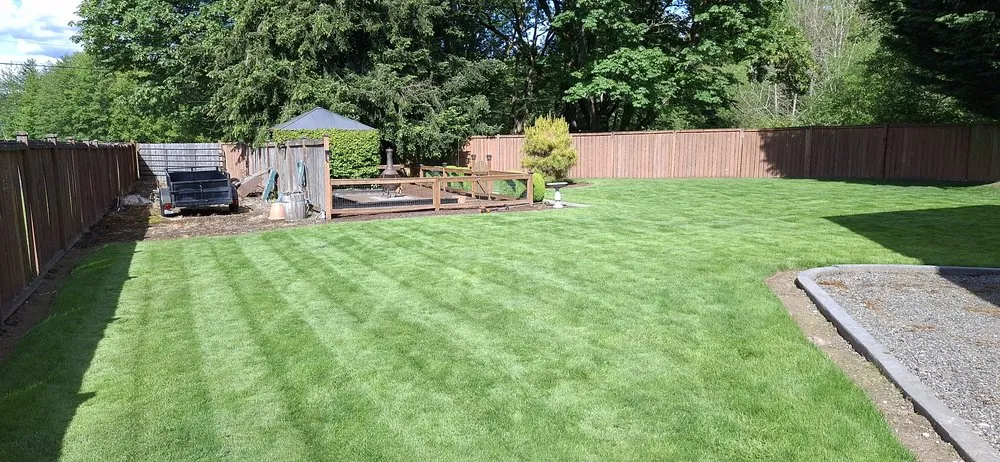 Local yard maintenance experts serving Orting, WA - Rivers custom cuts Lawn Care/ Tree Removal