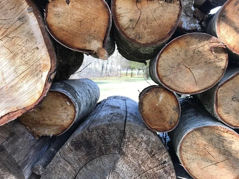 Expert yard maintenance in Chester, CT by River's Edge