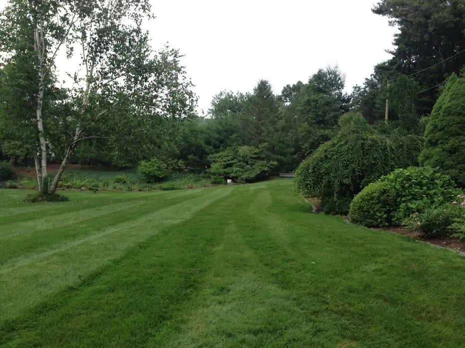 Professional yard cleanup service in Chester, CT by River's Edge