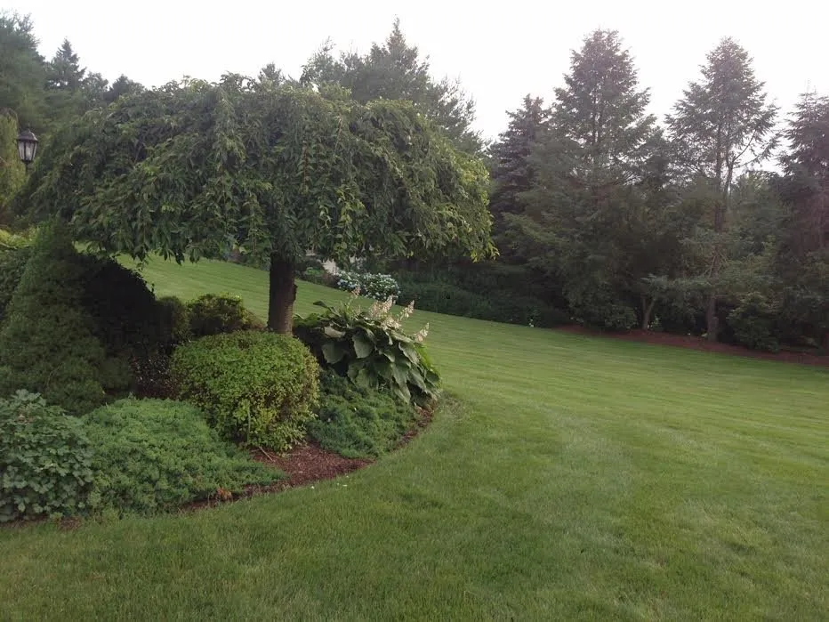 Top-rated landscape installation in Chester, CT by River's Edge