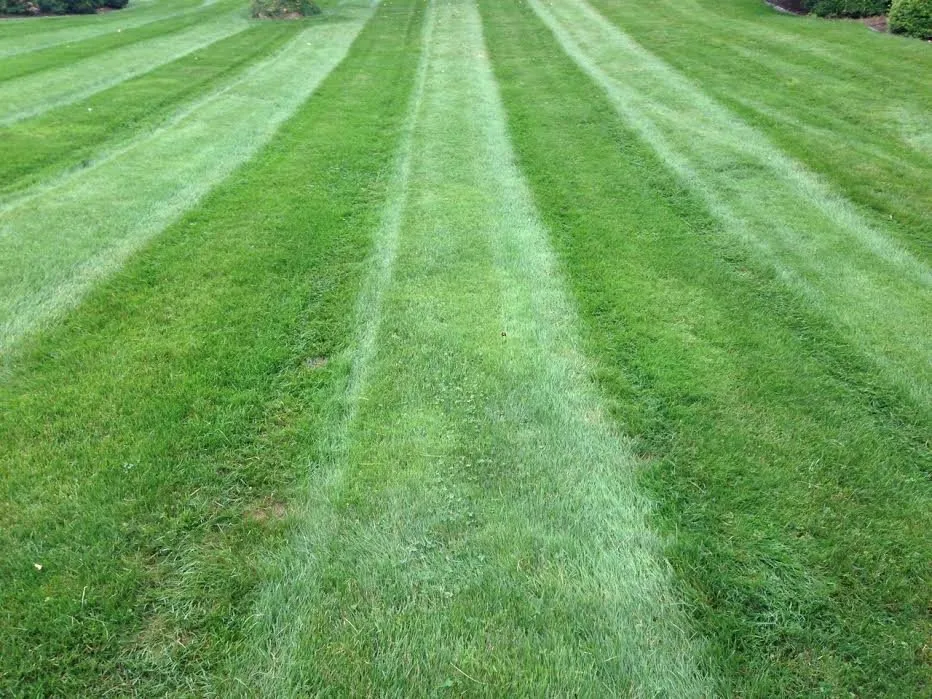 Reliable yard cleanup service near you across Chester, CT - River's Edge