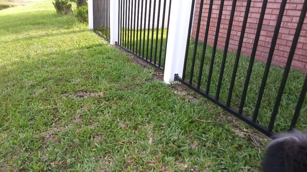 Local residential landscaping for year-round maintenance across Jacksonville, FL - Rivers Edge Landscaping