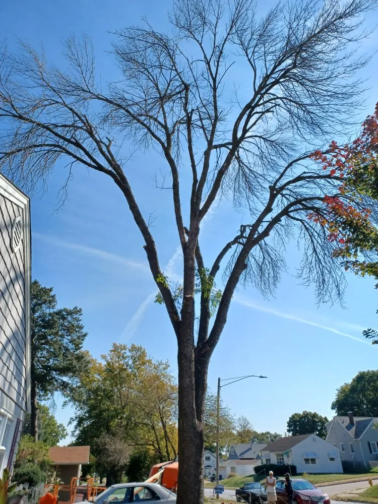 Top-rated landscape installation in Davenport, IA by Rivers Edge Tree & Lawn