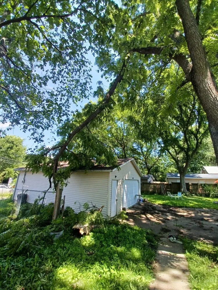 Professional yard maintenance in Davenport, IA by Rivers Edge Tree & Lawn