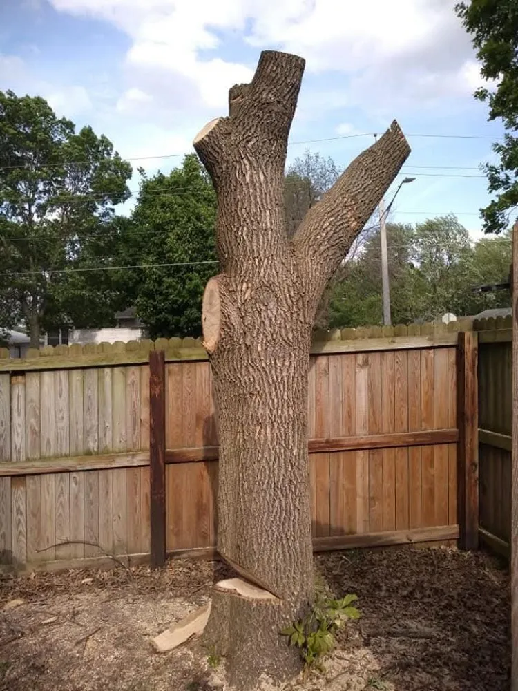 Custom outdoor landscaping for homes across Davenport, IA - Rivers Edge Tree & Lawn