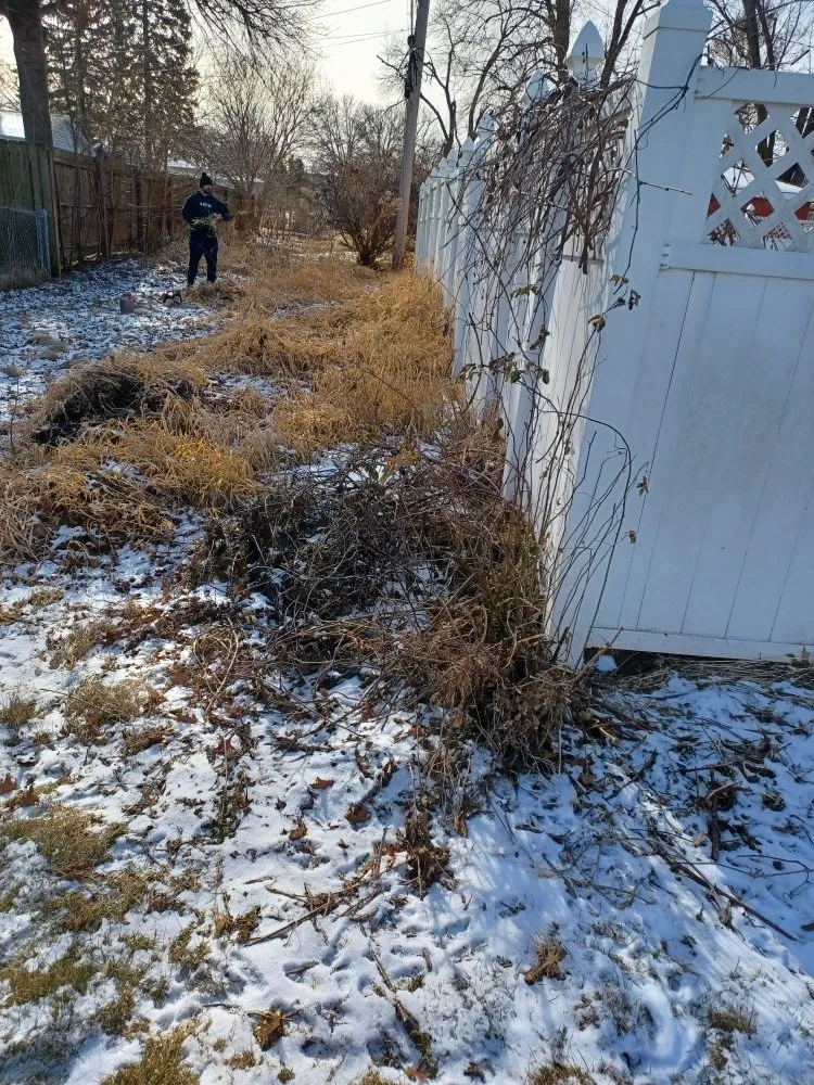 Top-rated lawn mowing service for homes across Davenport, IA - Rivers Edge Tree & Lawn