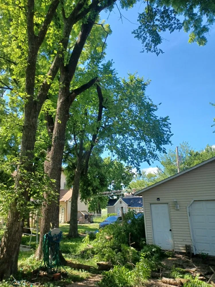 Professional yard cleanup service in Davenport, IA by Rivers Edge Tree & Lawn