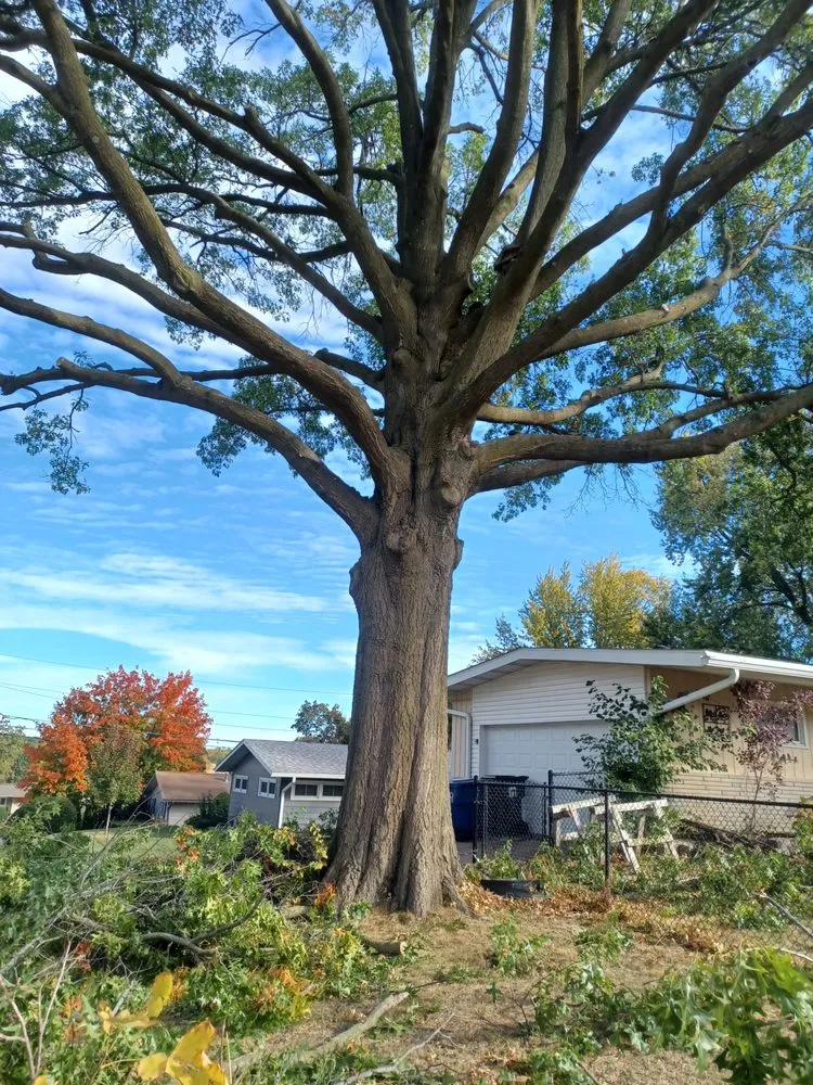 Trusted landscaping services for beautiful yards in Davenport, IA by Rivers Edge Tree & Lawn