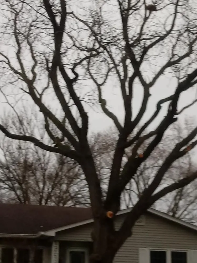 Local residential landscaping experts serving Davenport, IA - Rivers Edge Tree & Lawn