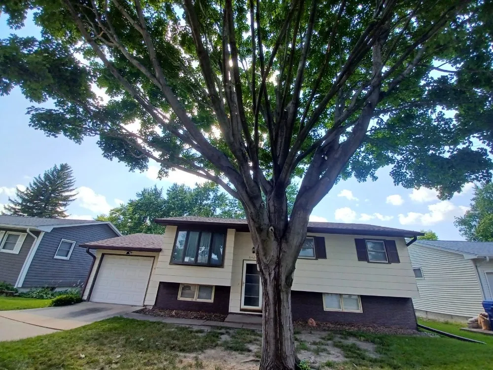 Trusted lawn care service experts serving Davenport, IA - Rivers Edge Tree & Lawn