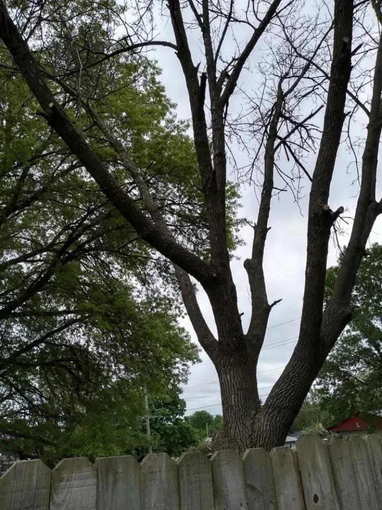 Affordable landscaping services with custom design in Davenport, IA by Rivers Edge Tree & Lawn