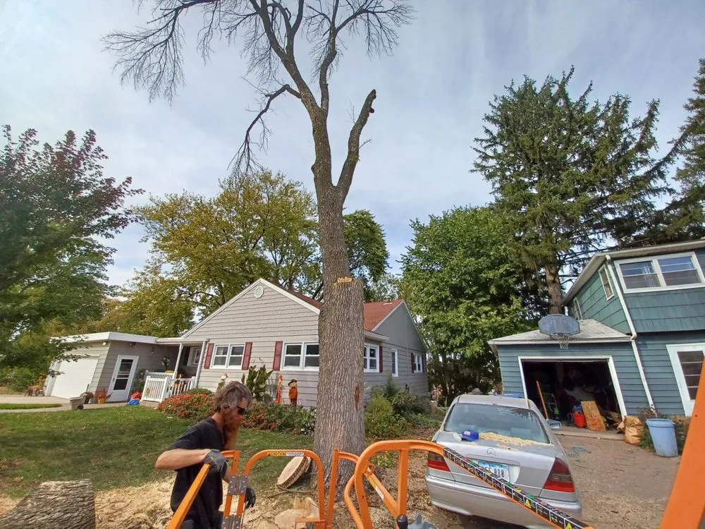 Local outdoor landscaping in Davenport, IA by Rivers Edge Tree & Lawn