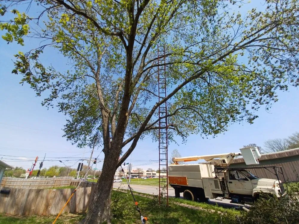 Affordable lawn mowing service for year-round maintenance in Davenport, IA by Rivers Edge Tree & Lawn