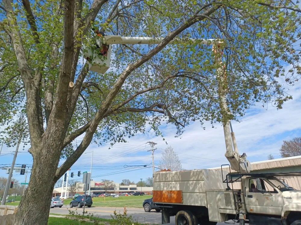 Expert lawn care service experts serving Davenport, IA - Rivers Edge Tree & Lawn