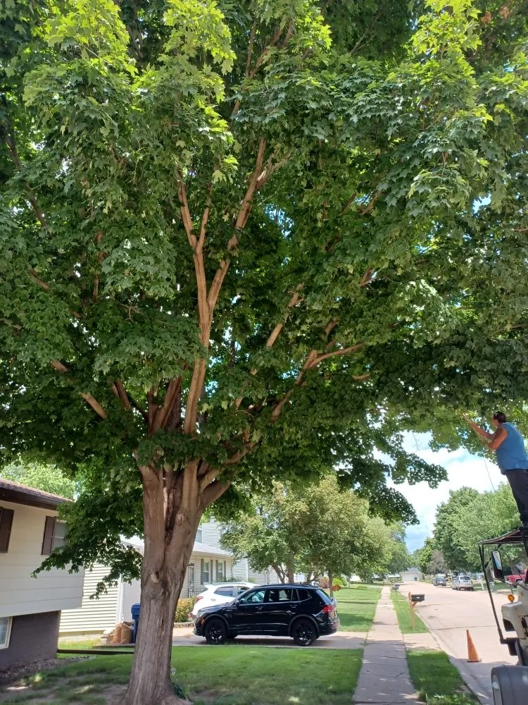 Expert lawn care service for outdoor upgrades in Davenport, IA by Rivers Edge Tree & Lawn
