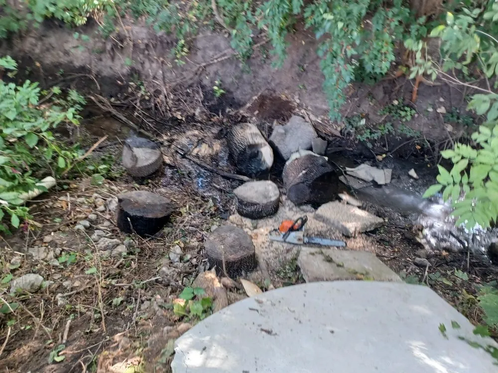 Trusted outdoor landscaping in Davenport, IA - Rivers Edge Tree & Lawn