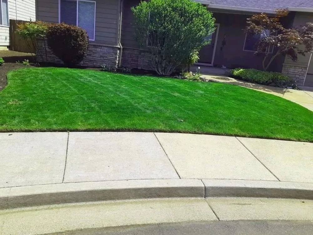 Trusted landscaping services in Springfield, OR by Rivers Lawn Care Services