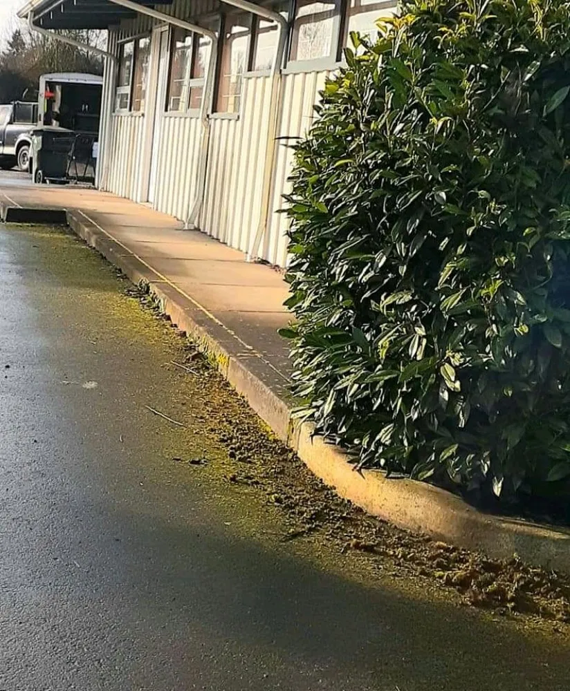 Local residential landscaping in Springfield, OR by Rivers Lawn Care Services